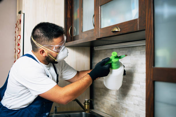 Pest Control for Restaurants in Uintah, UT