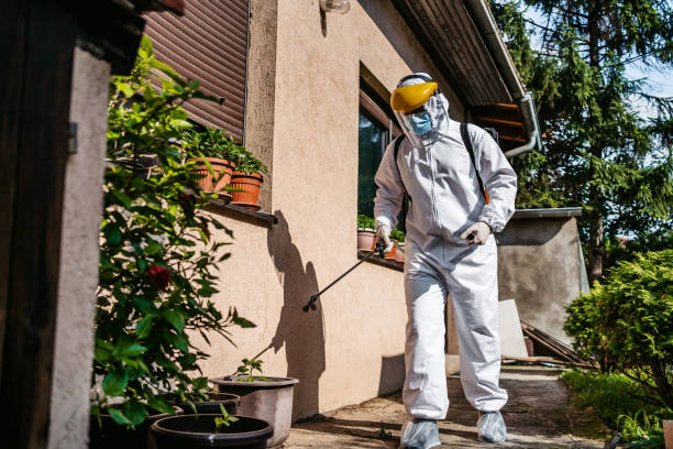 Best Local Pest Control Services  in Uintah, UT