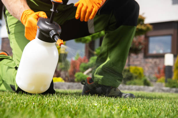 Best Commercial Pest Control Services  in Uintah, UT